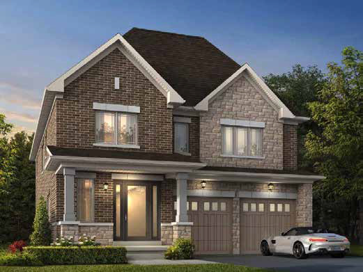 virginia  Rendering