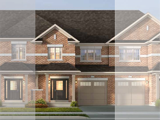camellia-a1  Rendering