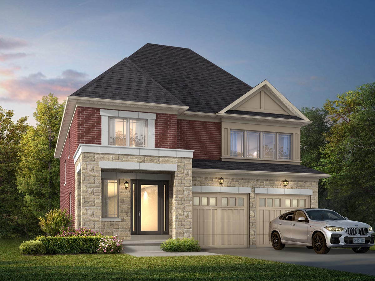 carolina  Rendering